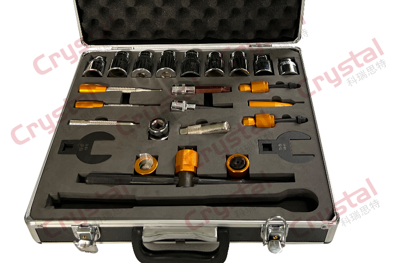 S04003 Hcr Injector Disassembly and Assembly Tool（24PCS）